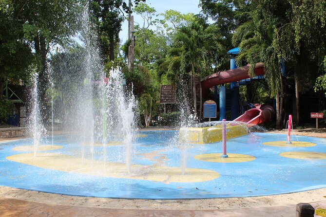 Dunn's River Park & Blue Hole Waterfall Combo from Montego Bay - Who will enjoy this day most