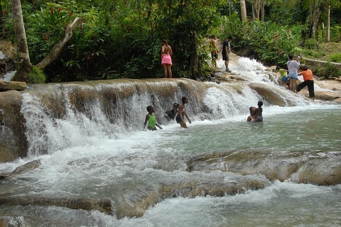 Dunn's River Tour from Falmouth - Who should book this Dunn’s River tour?