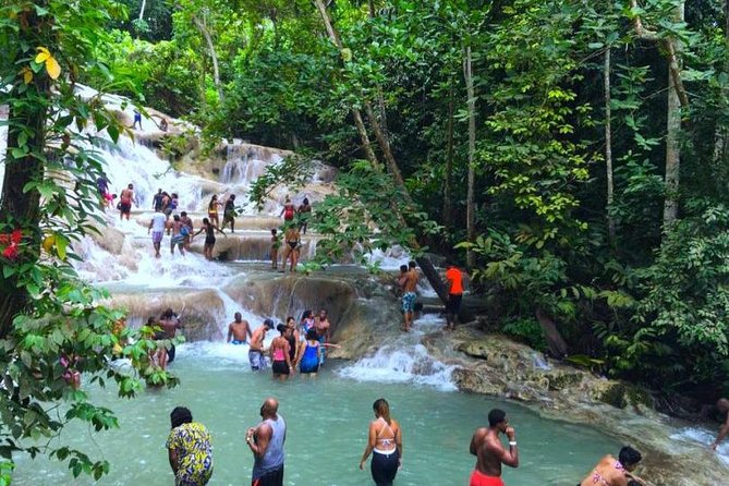 Dunns River Falls - What the $136.42 price really covers