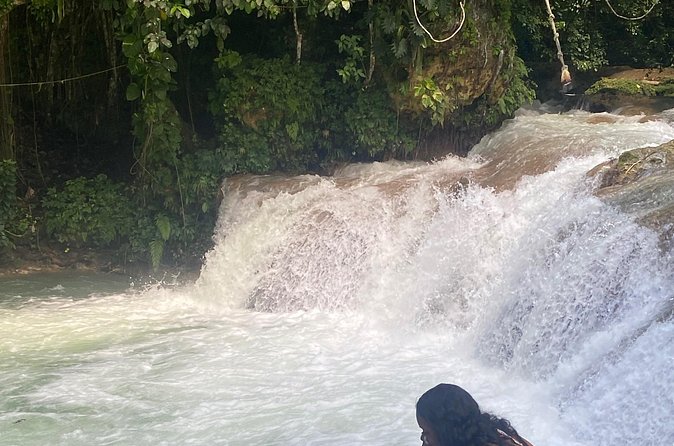 Dunns River Falls and Shopping Tour in Ocho Rios - Is $270 a fair price for up to six?