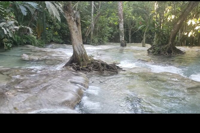 Dunns River Falls Experience from Montego Bay Resorts - What the $160 price really covers
