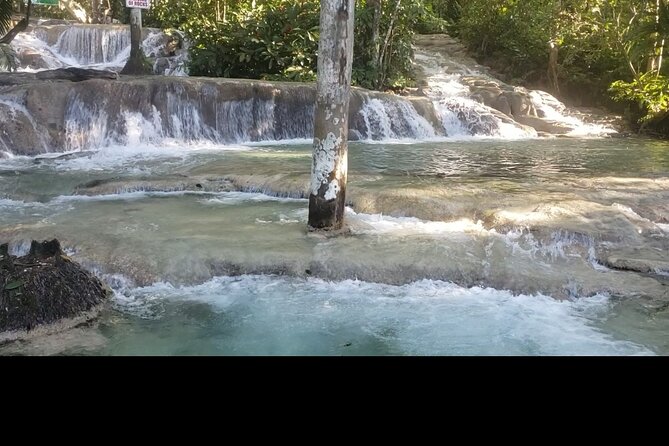 Dunns River Falls Experience from Montego Bay Resorts - Who will enjoy this outing most