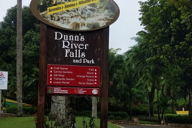 Dunns River Falls Private Day Tour - Who will like this half-day outing?