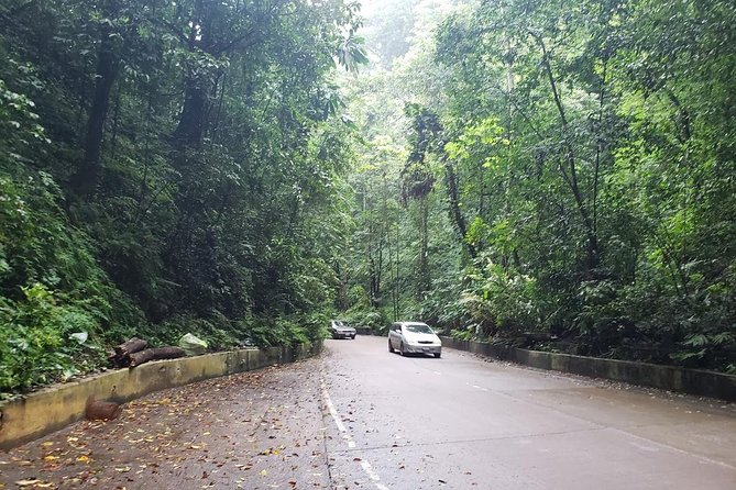Dunns River Falls Scenic Tour - Why this Kingston day trip is more than a waterfall stop