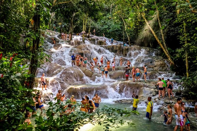 Dunns River Falls, Zipline, Bamboo Rafting, Horseback Ride Tour - Transport, pickup, and the real cost of the schedule