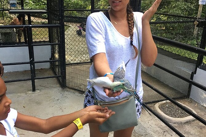 Eco Explorers Waterfall, Rainforest, local Shopping with lunch - Taj Mahal Shopping Center and Jamaican souvenirs