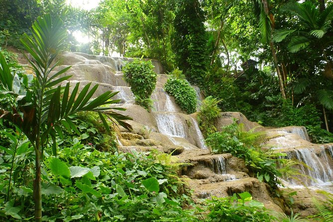 Eco Explorers Waterfall, Rainforest, local Shopping with lunch - Who should book this experience?