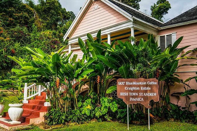 Exotic Blue Mountain Coffee Tour - Key points to know before booking