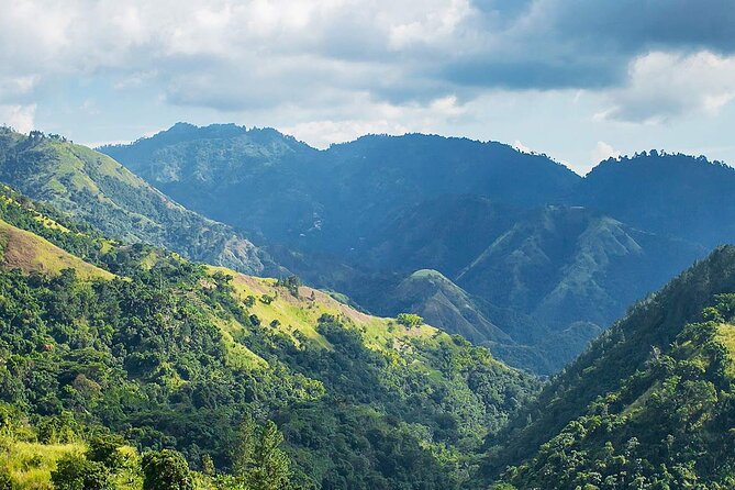 Exotic Blue Mountain Coffee Tour - From Spanish Town to Kingston by morning