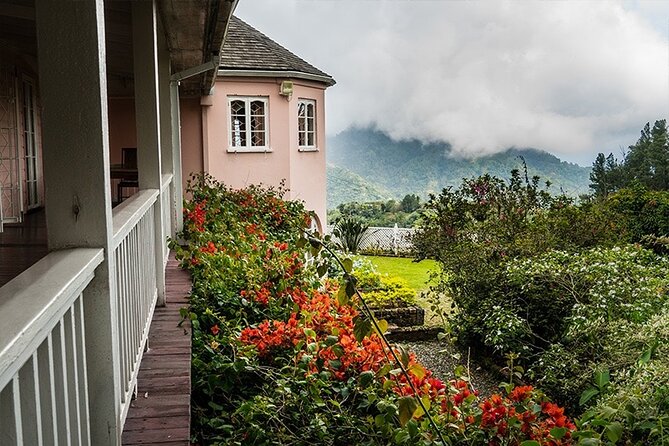 Exotic Blue Mountain Coffee Tour - Who will enjoy this tour most