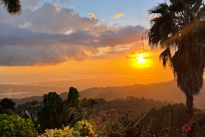 Exotic Blue Mountain Coffee Tour - Climbing into the Blue Mountains