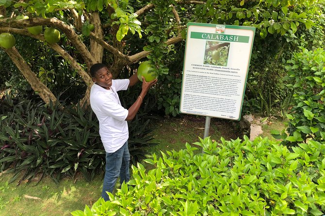 Explore Montego Bay Jamaica Private Tour to Green Gratto Cave - Queen’s Monument and Columbus Park