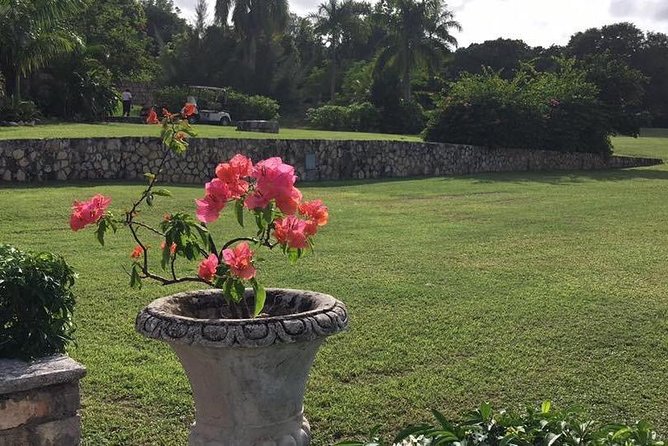 Explore Montego Bay Jamaica Rose Hall Great House Day/Night Tour - Who will enjoy Rose Hall most