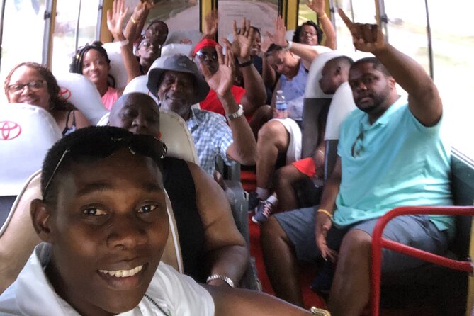 Explore Montego Bay Jamaica Tour to Dunns River Falls - Who will get the most from this day?