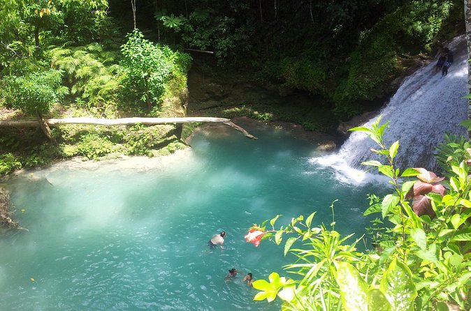 Falmouth Dunns River Falls and Blue Hole Excursion - What the private format is worth at $191