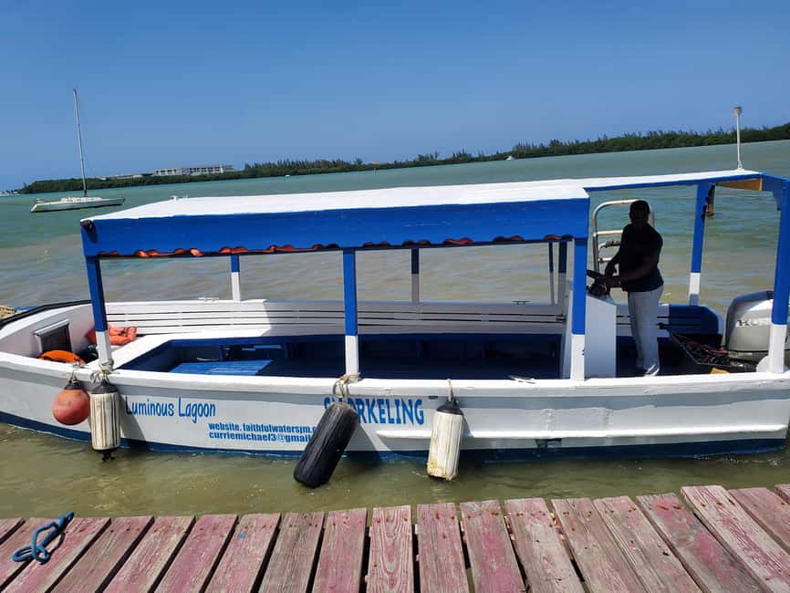 Falmouth: Luminous Lagoon Boat Tour - Small groups, private boats, and the pace of the evening
