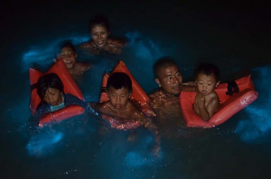 Falmouth: Luminous Lagoon Boat Tour - Who will enjoy this tour most