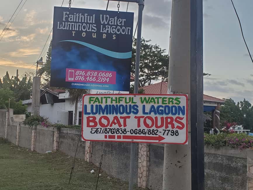 Falmouth: Luminous Lagoon Boat Tour - Booking details that matter