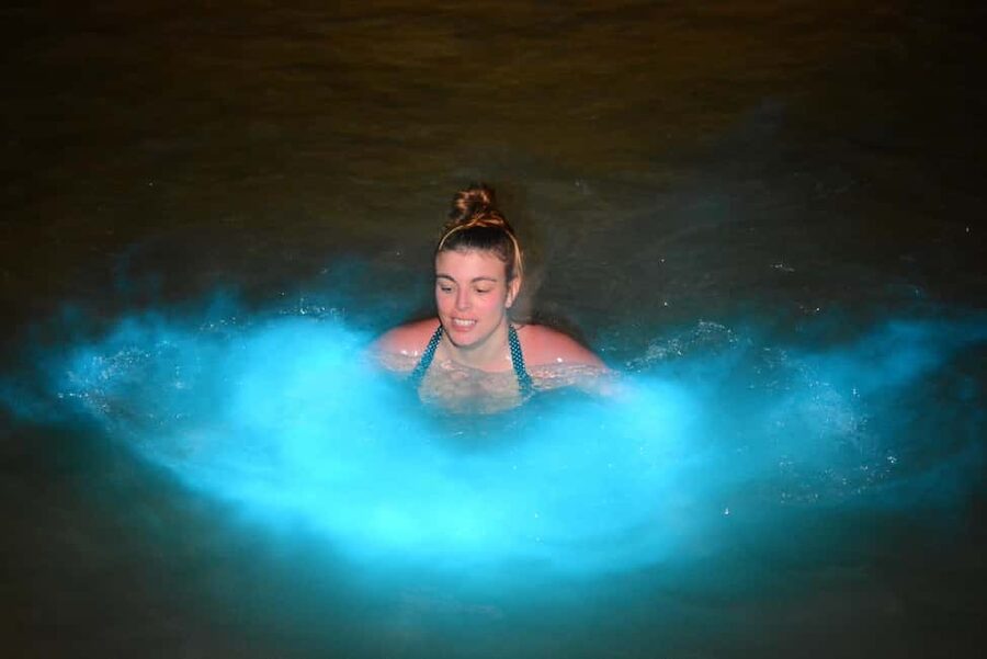 Falmouth: Luminous Lagoon Boat Tour - Should you book the Luminous Lagoon boat tour?