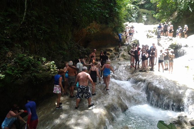 Falmouth Shore Excursion Blue Hole and Dunn's River Falls Combo - Guides, drivers, and the small-group advantage