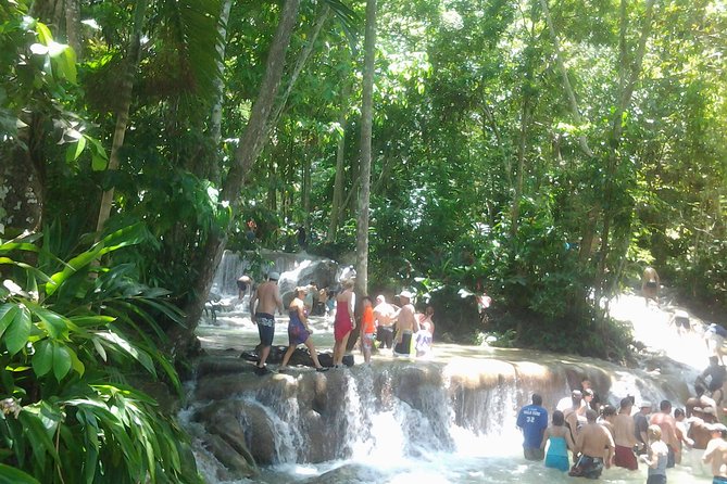Falmouth Shore Excursion Dunn's River Falls - Choosing between the climb and the dry route
