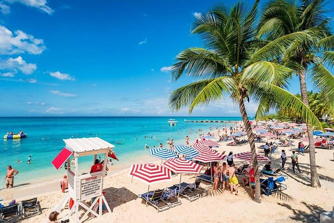 Falmouth Shore Excursion: Historic Sightseeing Tour and Doctor's Cave Beach - The minivan setup and group size