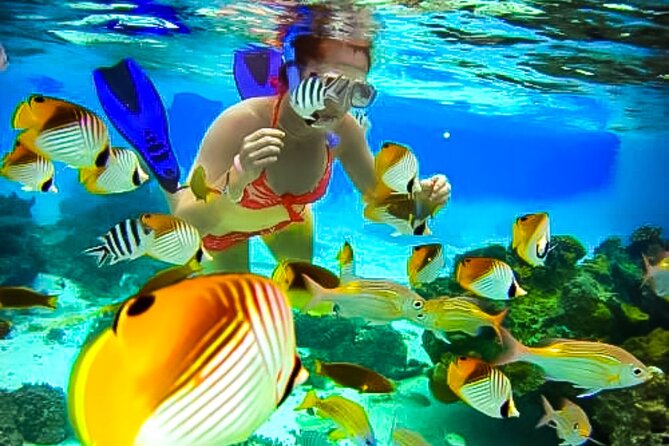 Family Fun-Snorkeling with Lunch Stop from Montego Bay - What the Montego Bay snorkeling outing is really like