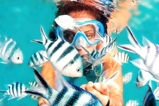Family Fun-Snorkeling with Lunch Stop from Montego Bay - The speedboat ride and reef setting