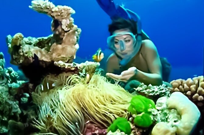 Family Fun-Snorkeling with Lunch Stop from Montego Bay - Your hour in the water