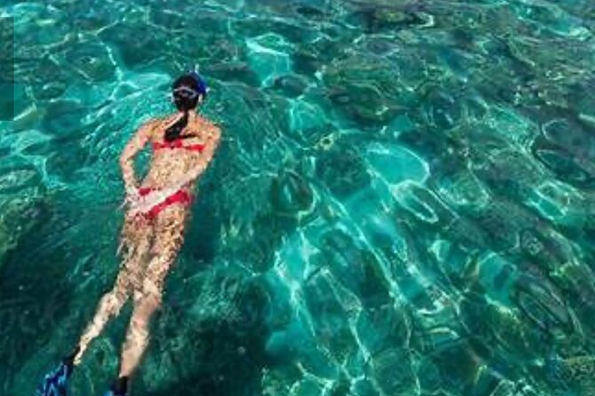 Family Fun-Snorkeling with Lunch Stop from Montego Bay - Is $110 per person fair value?