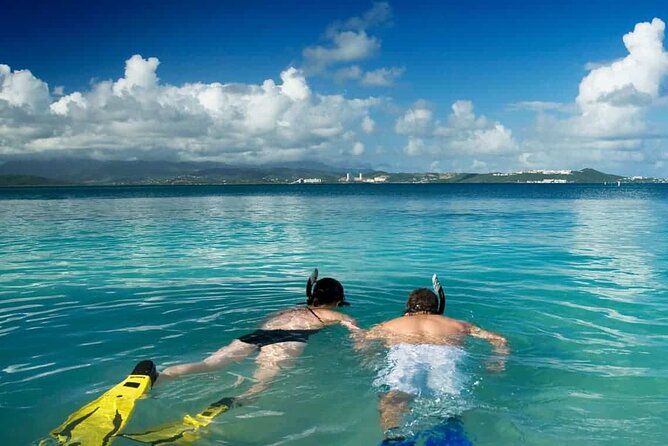 Family Fun-Snorkeling with Lunch Stop from Montego Bay - Who will enjoy this most