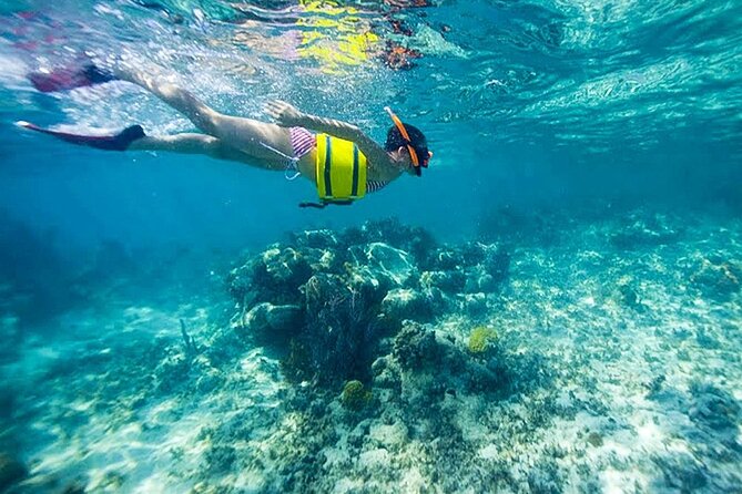 Family Fun-Snorkeling with Lunch Stop from Montego Bay - What to pack and how to prepare