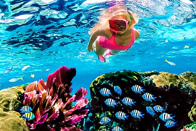Family Fun-Snorkeling with Lunch Stop from Montego Bay - The pickup and ride to the water