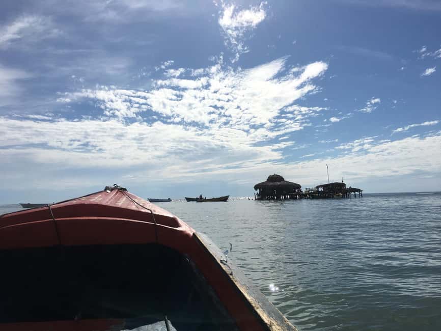 Floyd’s Pelican Bar, Ys Falls and Black River Safari Tour - Three Jamaican settings in one long day