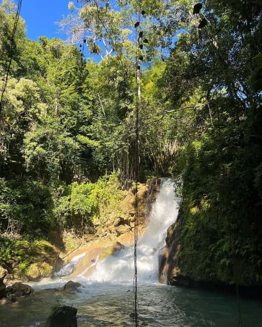 Floyd’s Pelican Bar, Ys Falls and Black River Safari Tour - Black River by pontoon boat