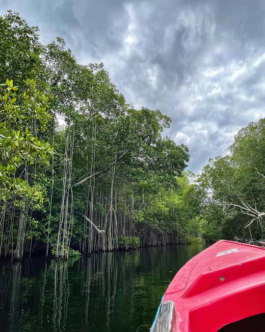 Floyd’s Pelican Bar, Ys Falls and Black River Safari Tour - What to know before you go