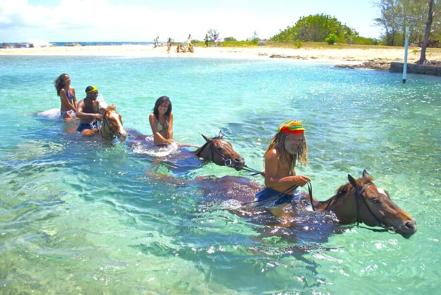 From Falmouth: Horseback Ride and Swim Beach Trip - Meeting the horses and handling the safety briefing