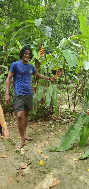 From Montego Bay: Blue Hole Waterfall Experience - What the five-hour schedule really means