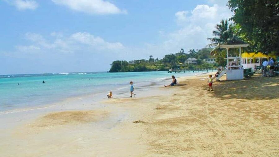 From Montego Bay: Dunn’s River Falls Experience - Why Dunn’s River Falls feels different from a standard waterfall stop
