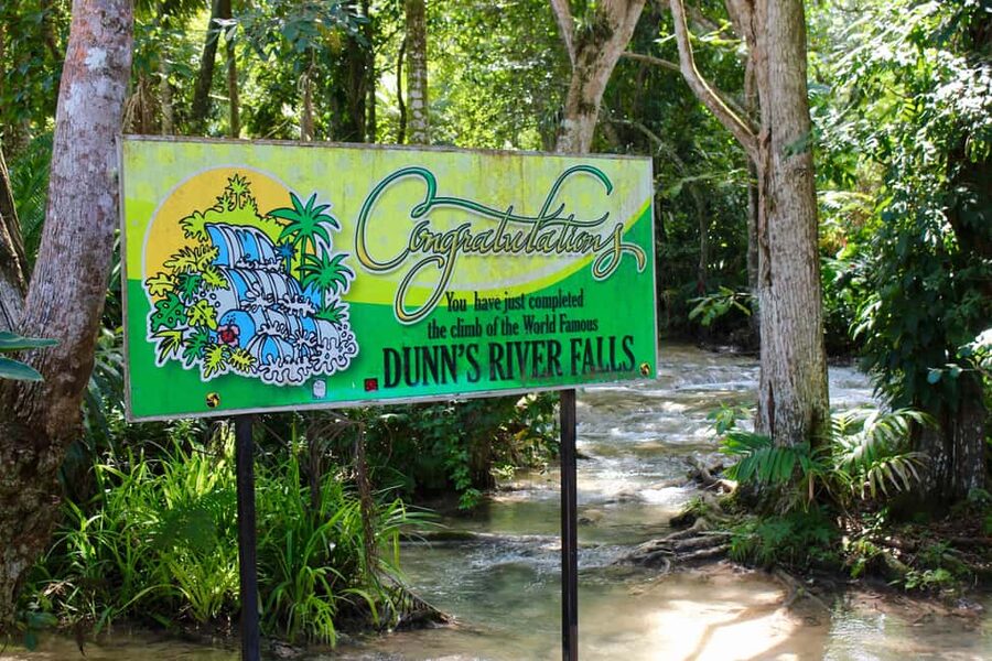 From Montego Bay: Dunn’s River Falls Experience - Who should choose this $135 excursion?