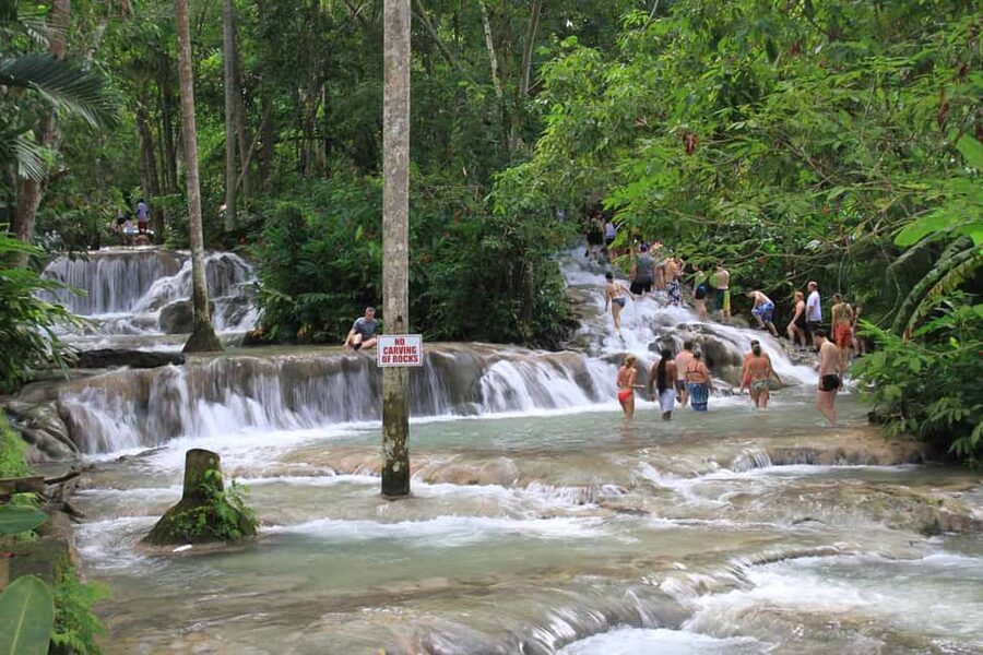 From Montego Bay: Dunn’s River Falls Experience - Tropical plants and the park’s quieter corners