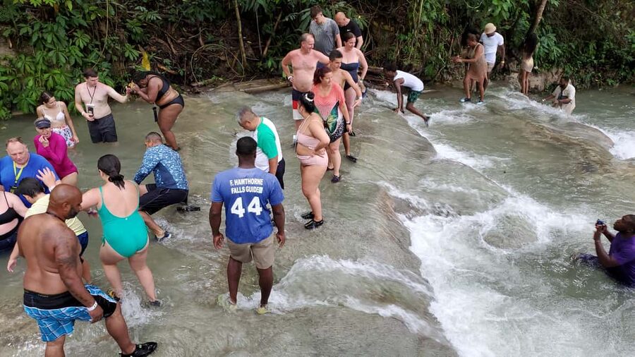 From Montego Bay: Dunn’s River Falls Experience - How the private service affects the day