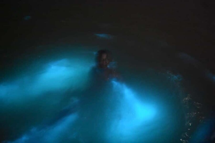 From Montego Bay: Luminous Lagoon Night Tour - The trip to Rock Wharf in Falmouth