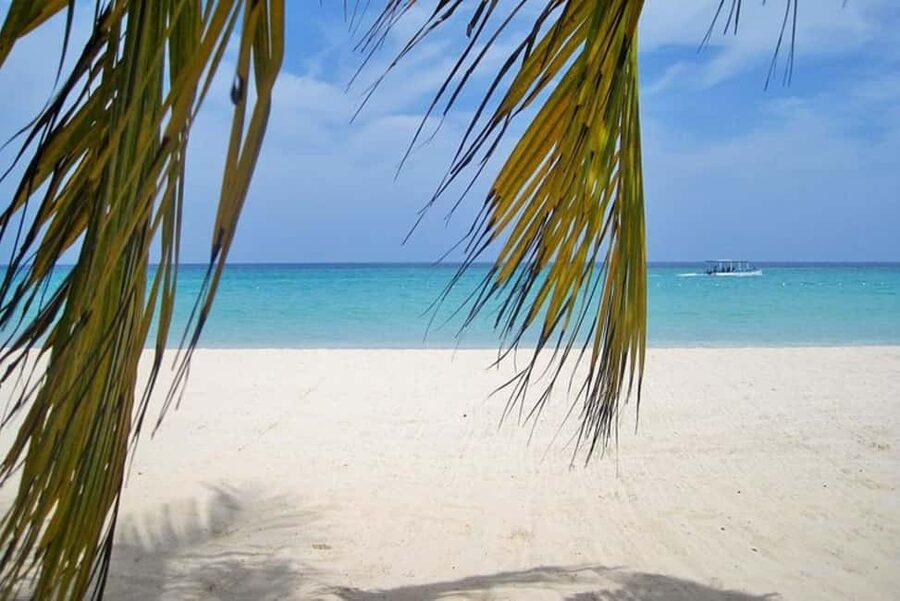 From Montego Bay: Negril Beach and Rick's Café Day Trip - What the short beach stop means for your day