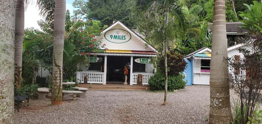 From Montego Bay: The Bob Marley Guided Tour of Nine Mile - Inside the mausoleum