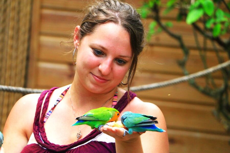 From Ocho Rios: Yaaman Adventure Park ATV Tour with Lunch - A plantation setting with an off-road twist