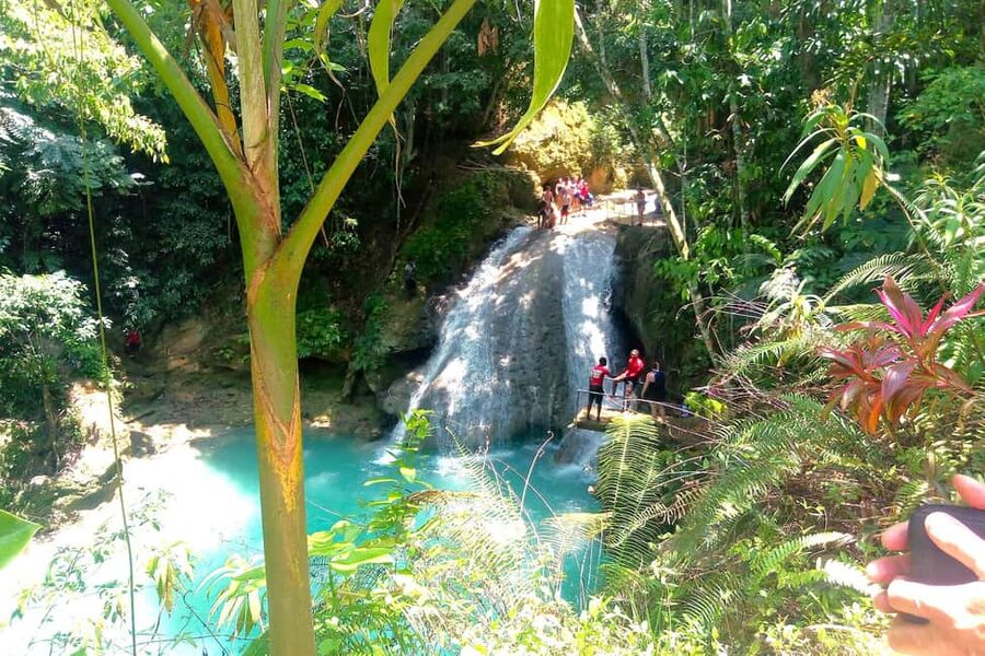 From Runaway Bay: Island Gully Falls and Blue Hole Tour - Should you book Island Gully Falls and the Blue Hole?