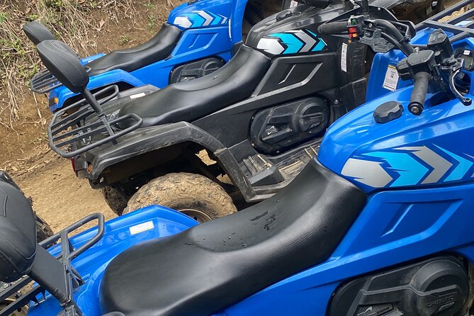 Full Day ATV Bush Trail and Water Sports Tour with Rick's Cafe - Is $145 a fair price for a full day?