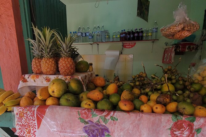Full-Day Guided Tour to Dunns River Falls & shopping with lunch - Climbing the 600-foot cascade