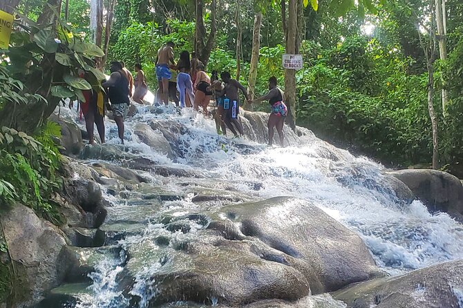 Full-Day Guided Tour to Dunns River Falls & shopping with lunch - The guide can shape the whole experience